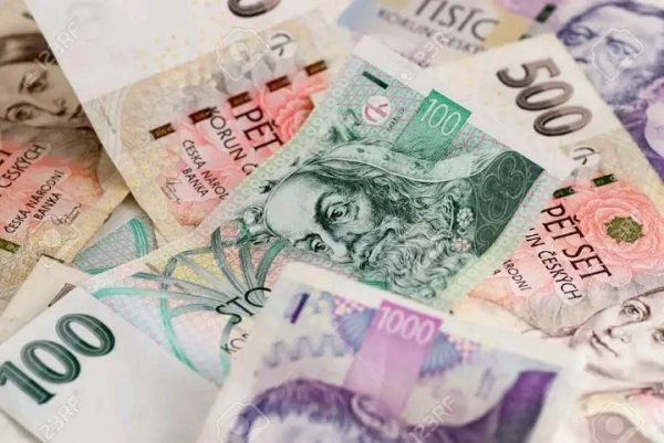 detailní fotografie