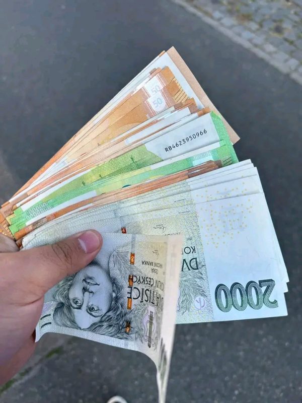 detailní fotografie