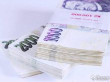 detailní fotografie